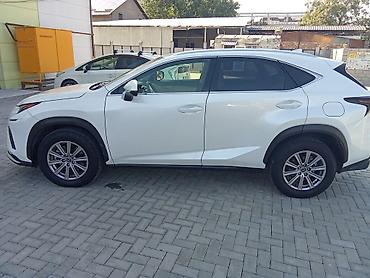 Lexus: Lexus NX: 2020 г., 2 л, Автомат, Бензин, Кроссовер — 8