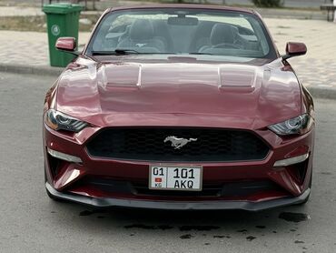 Ford: Ford Mustang: 2018 г., 2.3 л, Автомат, Бензиновая, Кабриолет — 4
