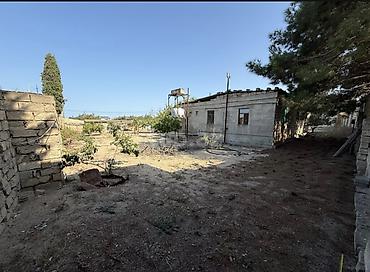 guzdek qesebesi: 5 sot, Kupça (Çıxarış) — 4