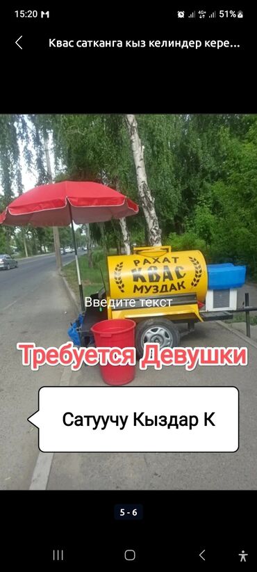 работа утюжником: Сатуучу-консультанттар