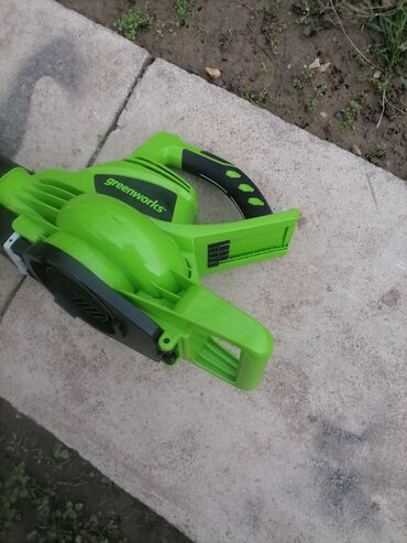 Mašine za čišćenje i održavanje: Greenworks električni duvač lišća - Brend: Greenworks - Tip — 4