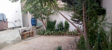 Bağ evlərinin satışı: Wuvelanda baglar massivi,denize,aftobus dayanacaqina,mir movsum aga — 2