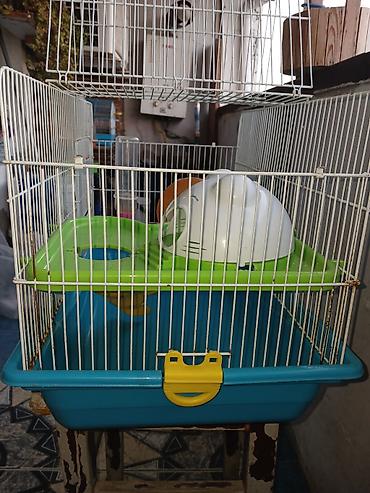 Heyvanlar: Hamster üçün tam dəst qəfəs uzunluqu 55 sm hündürlük 45 sm eni 30 sm — 3