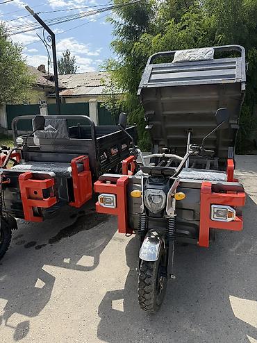 трицикл мини: Грузовые трициклы Naryn Moto с самосвальным кузовом - Формат — 4