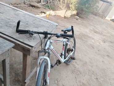 İşlənmiş Fat Bike Trinx, 24", sürətlərin sayı: 32, Ünvandan götürmə