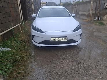kreditle byd: BYD Qin Plus (sedan) – Yango brendli taksi üçün bükülü vinil reklam — 6