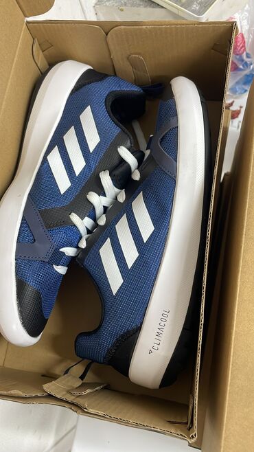 куплю кроссовки адидас: Мужские кроссовки, 42, Adidas, Новый, Бесплатная доставка