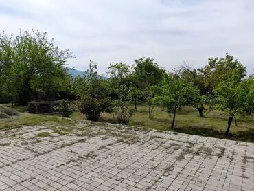 Günlük kirayə evlər: 250 kv. m, 5 otaqlı, Artezian quyusu, İşıq, Kanalizasiya -da lalafo.az — 10 Günlük kirayə evlər: 250 kv. m, 5 otaqlı, Artezian quyusu, İşıq, Kanalizasiya — 10