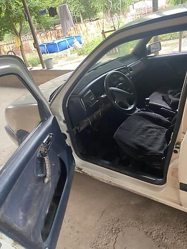 ли 9 авто: Volkswagen Vento: 1992 г., 1.9 л, Механика, Дизель, Седан — 3