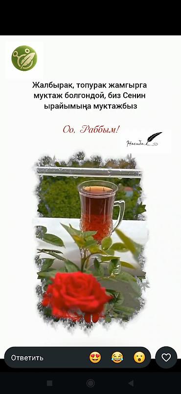 Шербет абрикосовый, домашний - Напиток «Шербет» на основе абрикоса - at lalafo.kg — 3 Шербет абрикосовый, домашний - Напиток «Шербет» на основе абрикоса - — 3