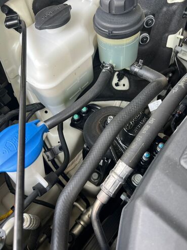 Kia: Kia Carnival: 2019 г., 2.2 л, Автомат, Дизель, Минивэн — 7