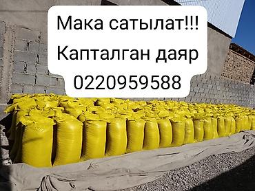 собака ретривер: Макуха в мешках - Натуральная жмых-макуха для кормления — 1