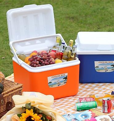 Другое для спорта и отдыха: Термо ящик Для хранения продуктов и напитков охлаждёнными Цены 5 л — 3