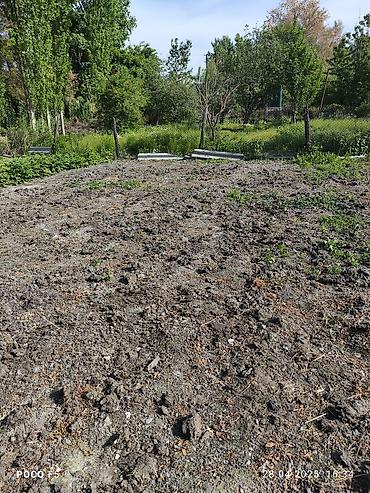 Другие услуги: Спашка огорода С дизельный мотоблок и бензиновый Цена договорная — 5