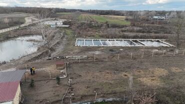 Torpaq sahələrinin satışı: 300 sot, Kənd təsərrüfatı, Mülkiyyətçi, Texniki pasport, Kupça (Çıxarış) — 20