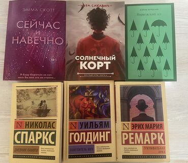 школьные книги 9 класс: Роман, На русском языке, Новый, Самовывоз, Платная доставка