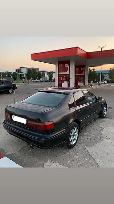 e53 amg: Honda Accord: 1995 г., 2 л, Механика, Бензин, Седан — 3