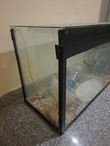 akvarum matoru: Akvarium şüşə tank satilir. Isteyen elaqe saxlasin. Unvan Baki — 2