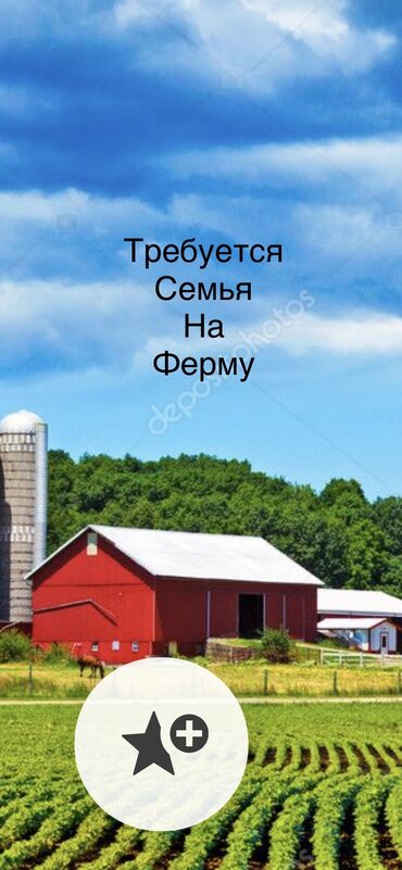 требуется няня с проживанием in Кыргызстан | ДЕТСКИЕ САДЫ, НЯНИ: Требуется семья на ферму
Малчы