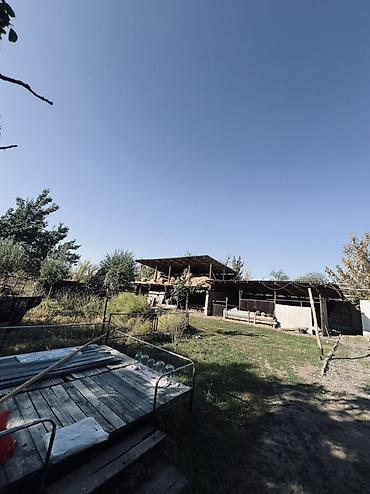 Продажа домов: Дом, 100 м², 5 комнат, Собственник, Косметический ремонт — 13