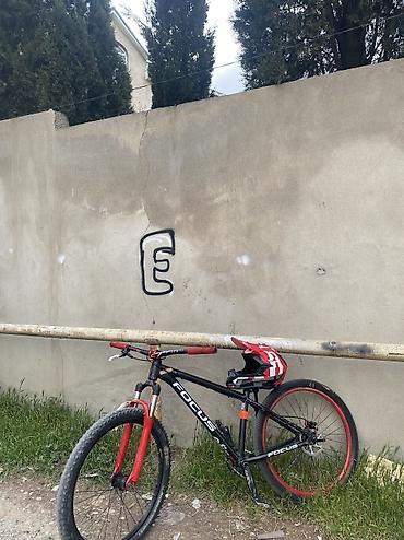 velosiped giant: FOCUS MTB velosiped - Kateqoriya: Dağ/MTB, hardtail - Çərçivə — 1