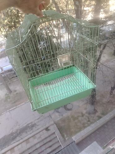 Qəfəslər: Quş qəfəsi – metal karkaslı, yaşıl rəngdə plastik altlıqlı model — 4