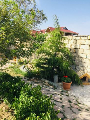 Bağ evlərinin kirayəsi: 100 kv. m, 2 otaqlı, Hovuzsuz — 7