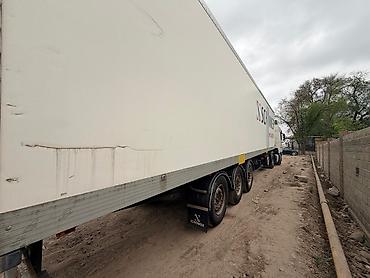 daf 2019: Тягач, DAF, 2020 г., Изотермический — 8