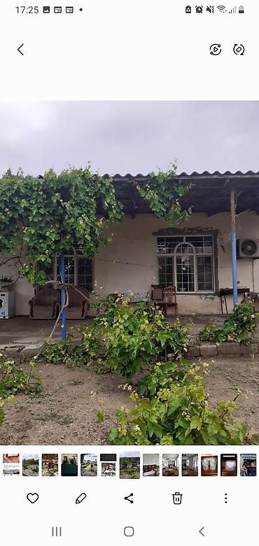 qobuda evlar: Satılır: həyət evi və geniş bağ sahəsi - Həyət: daş hasarlı, dəmir — 4