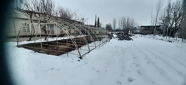 Теплицы: Теплица арочная промышленного типа - Каркас: металлический — 5