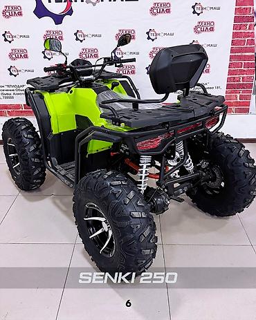 Квадроциклы: Квадроцикл Бензин, 250 куб. см, Взрослый — 6