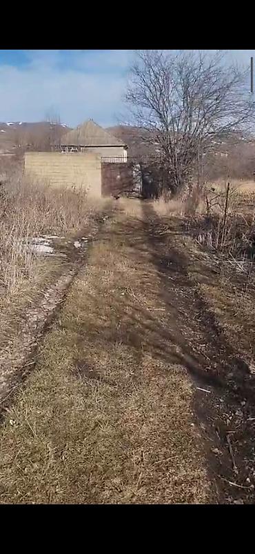 razin kiraye evler heyet: 40 sot, Biznes üçün, Mülkiyyətçi, Kupça (Çıxarış) — 1