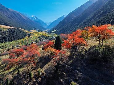 оборудование для фото: Фотосъёмка, Видеосъемка | С выездом | Съемки мероприятий, Рекламные ролики, Аэросъемка с дрона — 9