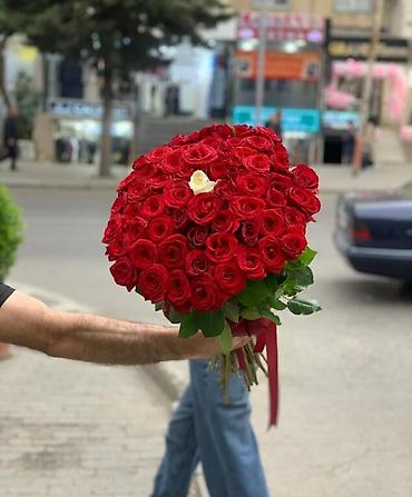 🔴 51 Qızılgul buketi - 105₼ 🌐 Ün. Əcəmi m yaxınlığı 📱 Əlaqə - lalafo.az -da 🔴 51 Qızılgul buketi - 105₼ 🌐 Ün. Əcəmi m yaxınlığı 📱 Əlaqə -