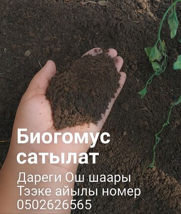 печь для отопления дома бишкек: Биогумус, представленный на изображении, является концентрированным