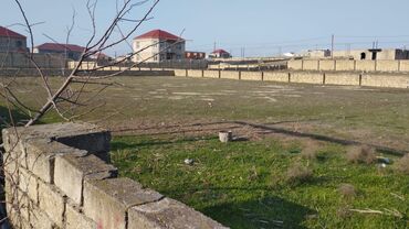 Torpaq sahələrinin satışı: 6 sot, Tikinti, Mülkiyyətçi, Kupça (Çıxarış) — 6