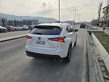 Lexus: Lexus NX: 2019 г., 2 л, Автомат, Бензин, Кроссовер — 5
