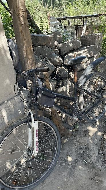 diska 13: Задный пакрышка жарык передний пакырышка таза Алдынкынында арканында — 3
