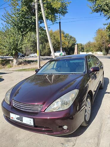 camry universal: Toyota Windom: 2003 г., 3 л, Автомат, Газ, Седан — 4