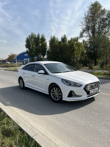 шины зимний: Hyundai Sonata: 2018 г., 2 л, Автомат, Бензин, Седан