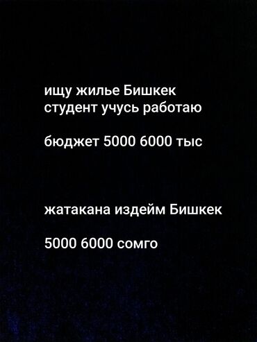 здаю квартиру 1ком: 1 комната, Риэлтор