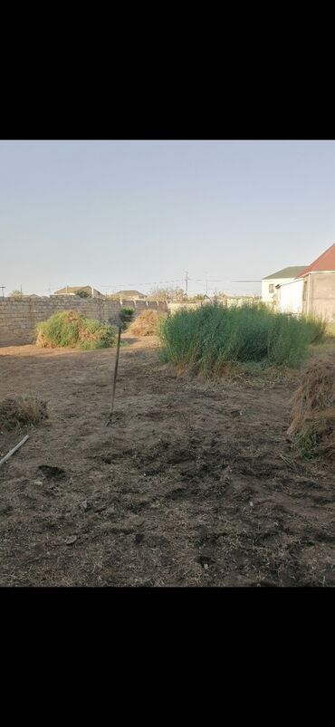 Bağbanlar: Bağban, 44 yaş, 5 ildən artıq təcrübə — 12