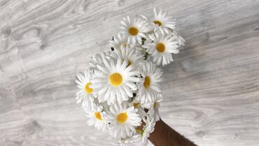 Süni güllər: Suni gullerin topdan perakenden satisi
5 azn baslayan qiymetler — 10