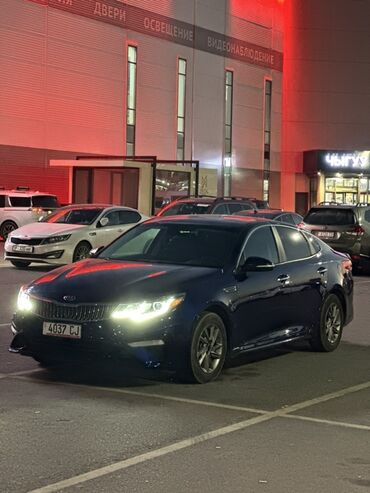 led прожектор: Kia Optima: 2019 г., 2.4 л, Автомат, Бензин, Седан