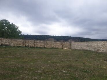 Torpaq sahələrinin satışı: 15 sot, Kənd təsərrüfatı, Mülkiyyətçi, Kupça (Çıxarış) — 17