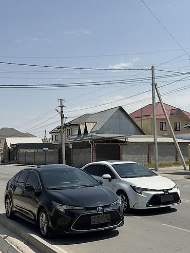 levin corolla: Toyota Levin: 2020 г., 1.8 л, Гибрид, Седан — 5