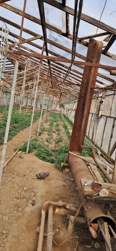 İstixanalar və parniklər: Sənaye tipli istixana kompleksi Taxda 6 metrelik 5.10 /90 ədəd 5.15 — 11