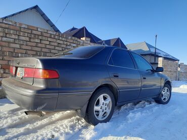 тайота камри 2000: Toyota Camry: 2000 г., 2.2 л, Автомат, Газ, Седан