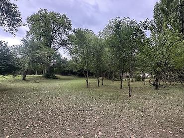 tap az sirvan: 28 sot, Biznes üçün, Mülkiyyətçi, Kupça (Çıxarış) — 10