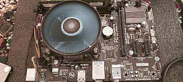 процессор amd: Материнская плата Gigabyte GA‑H81M‑S1 (LGA1150) с установленным — 1